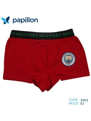 boxers 3100